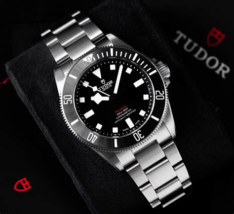 misure tudor pelagos